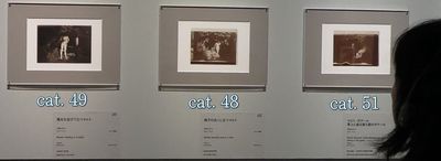 《陽光を浴びて立つマルト》、《椅子の近くに立つマルト》、マルト・ボナール《草上に座る後ろ姿のボナール》